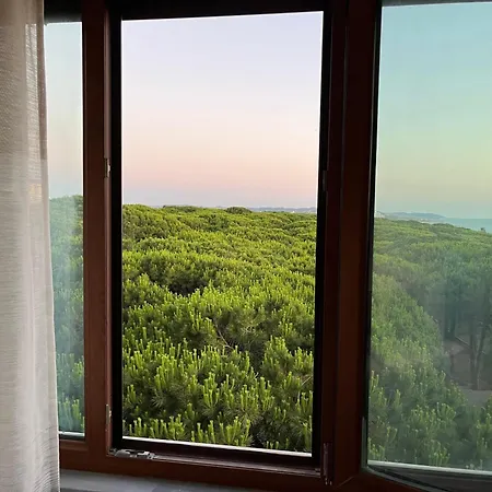 Mali I Robit Seaview غوليم